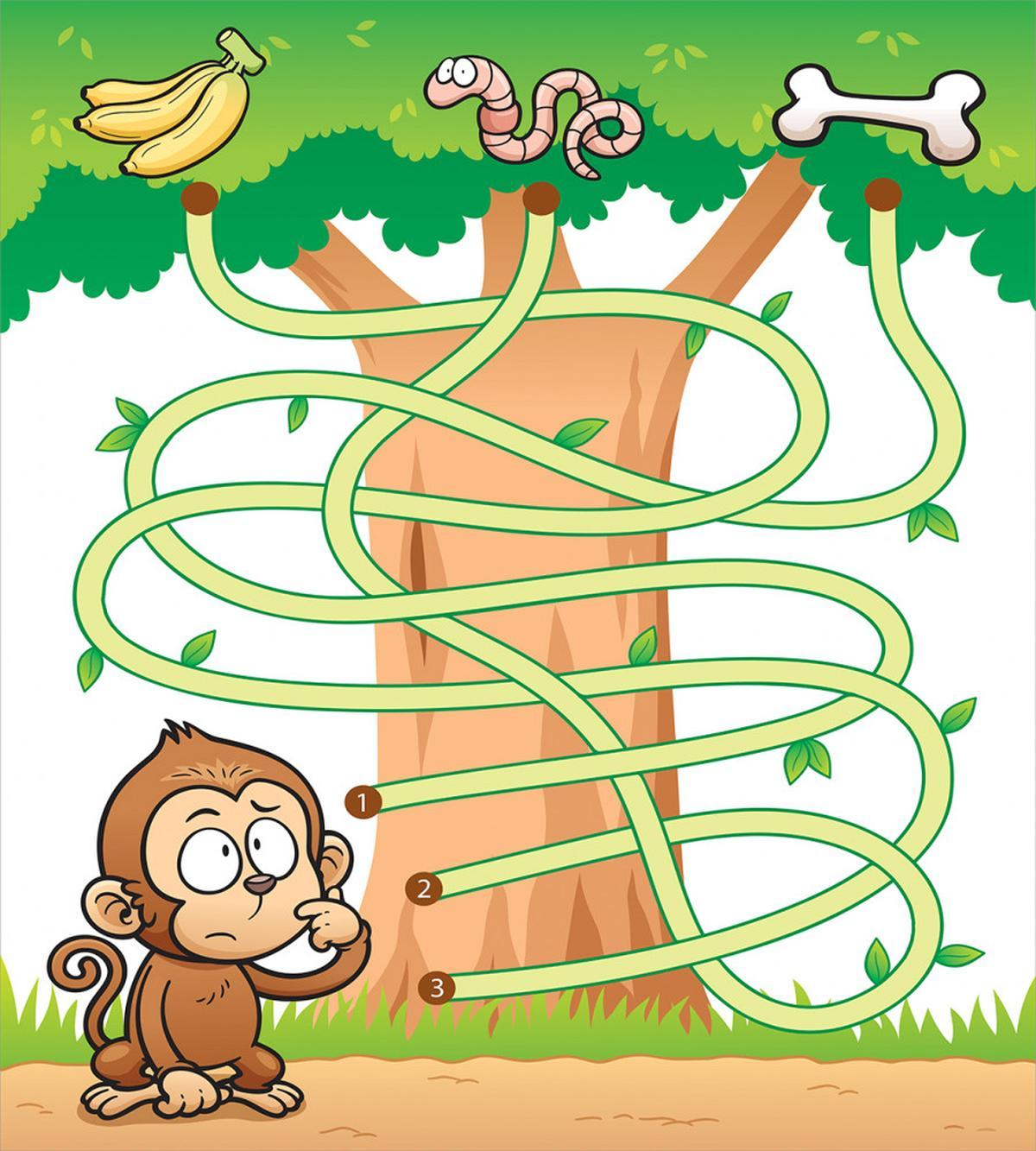 Curious Monkey — Pattern