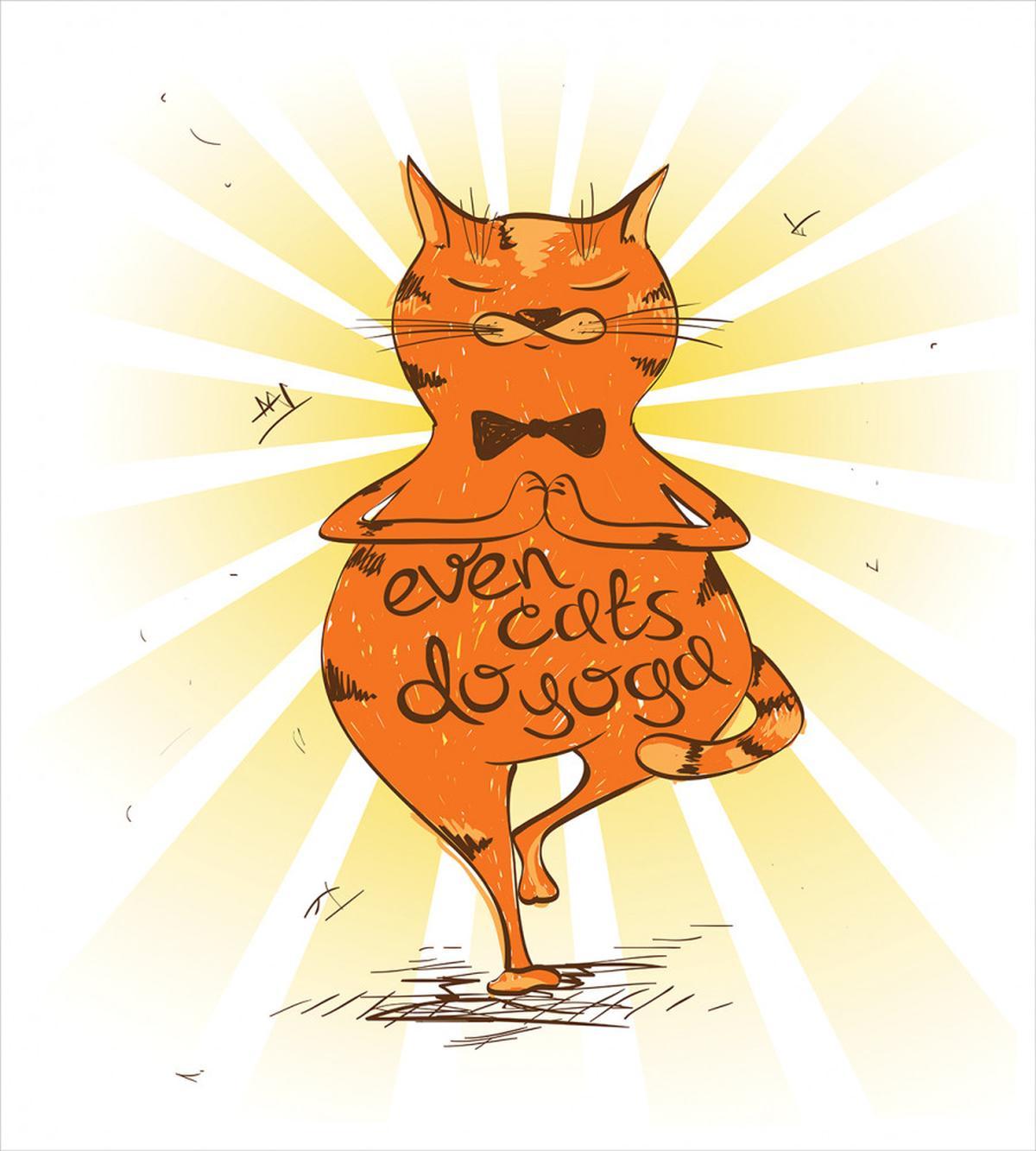Peaceful Cat with Phrase — Pattern