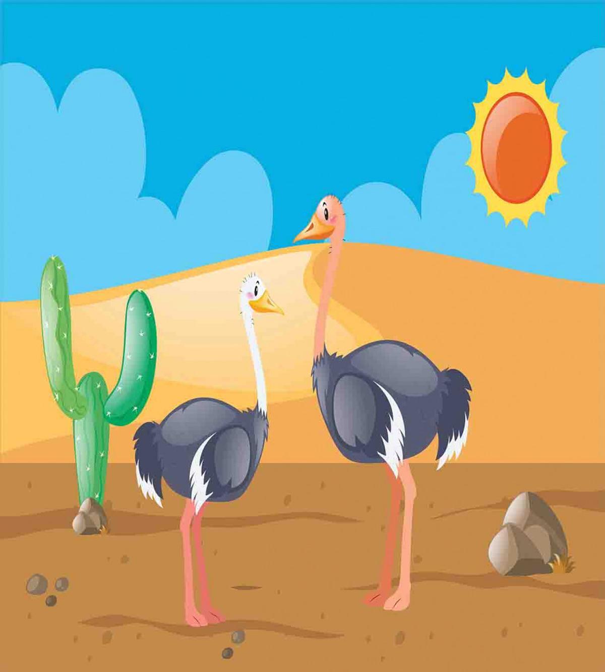 Wild Birds on Desert Cactus — Pattern