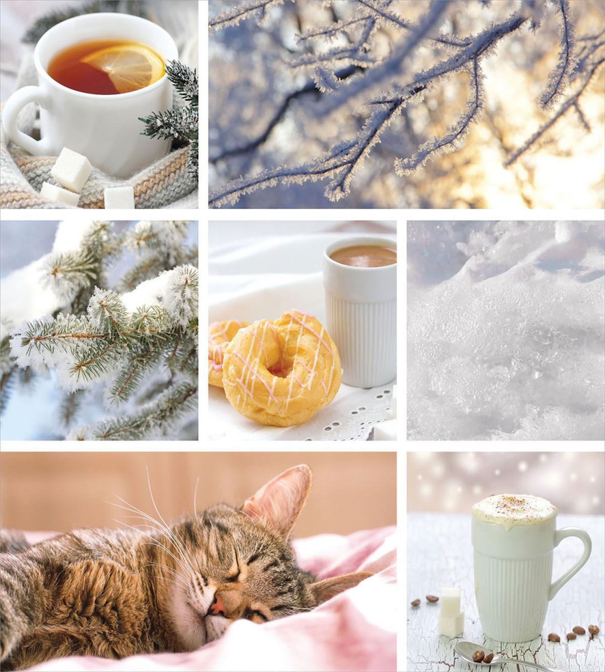 Snow Cat Coffee Donuts — Pattern