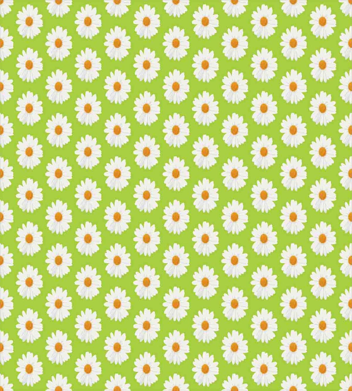 Marguerite Daisies Bloom — Pattern