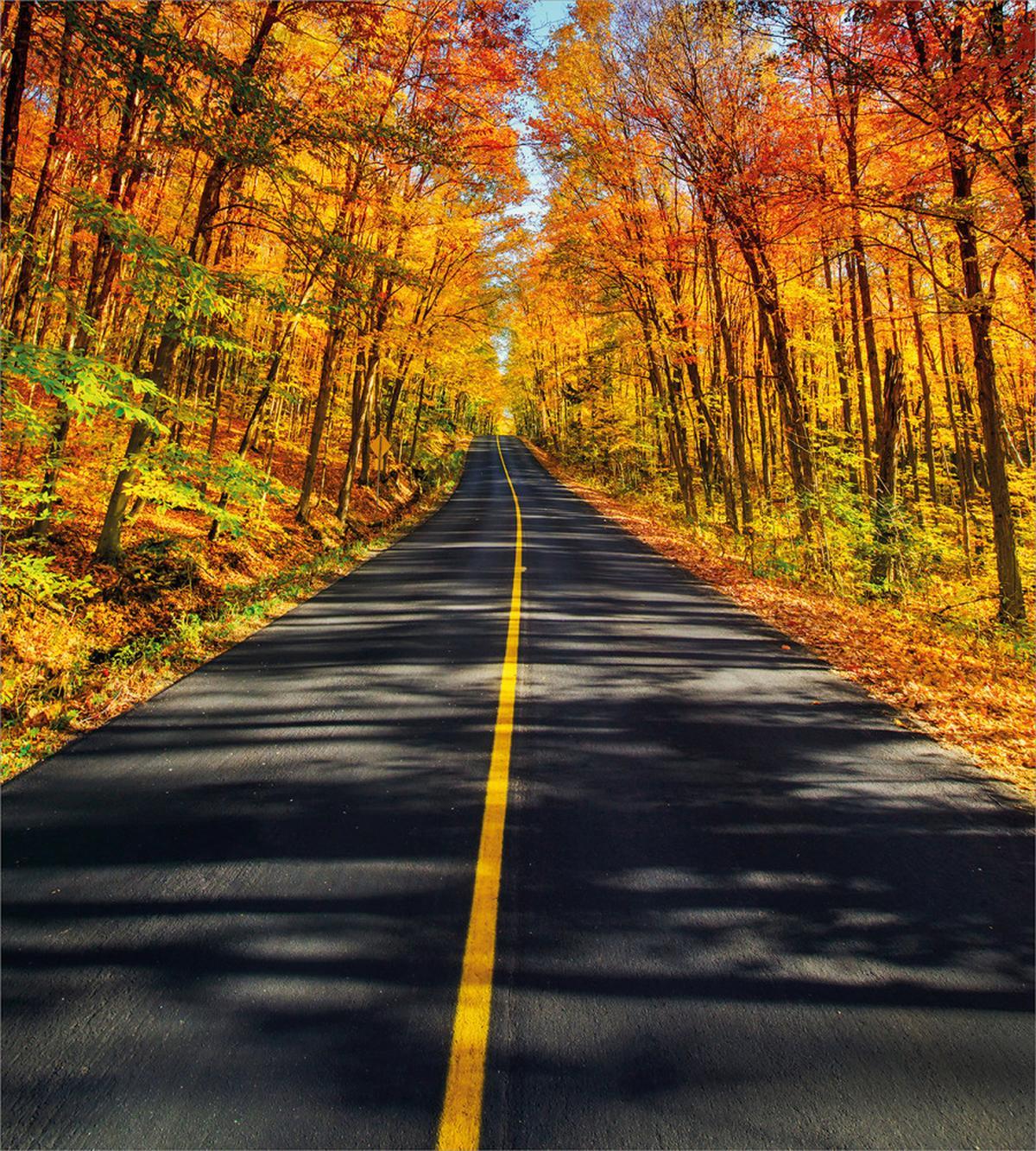 Rural Road Countryside — Pattern