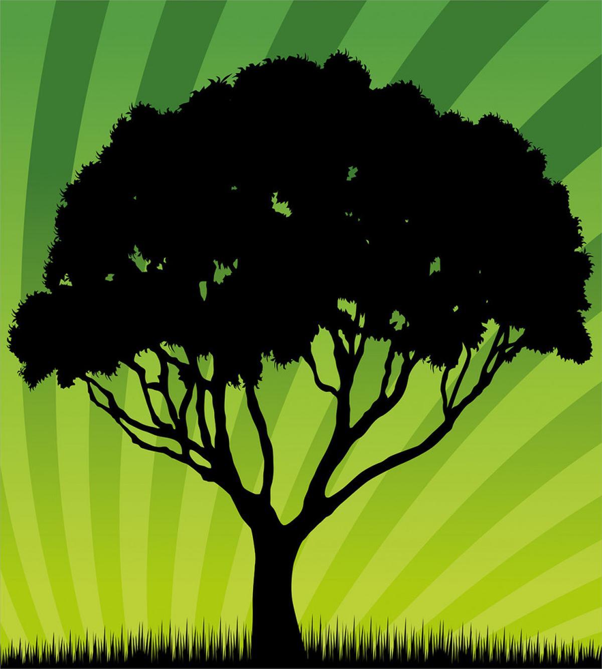 Funky Sunset Nature Art — Pattern
