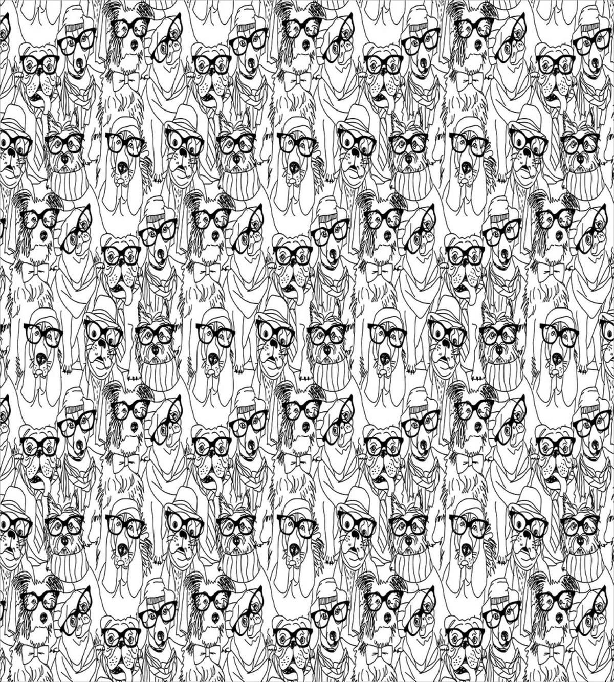 Terrier and Pug — Pattern