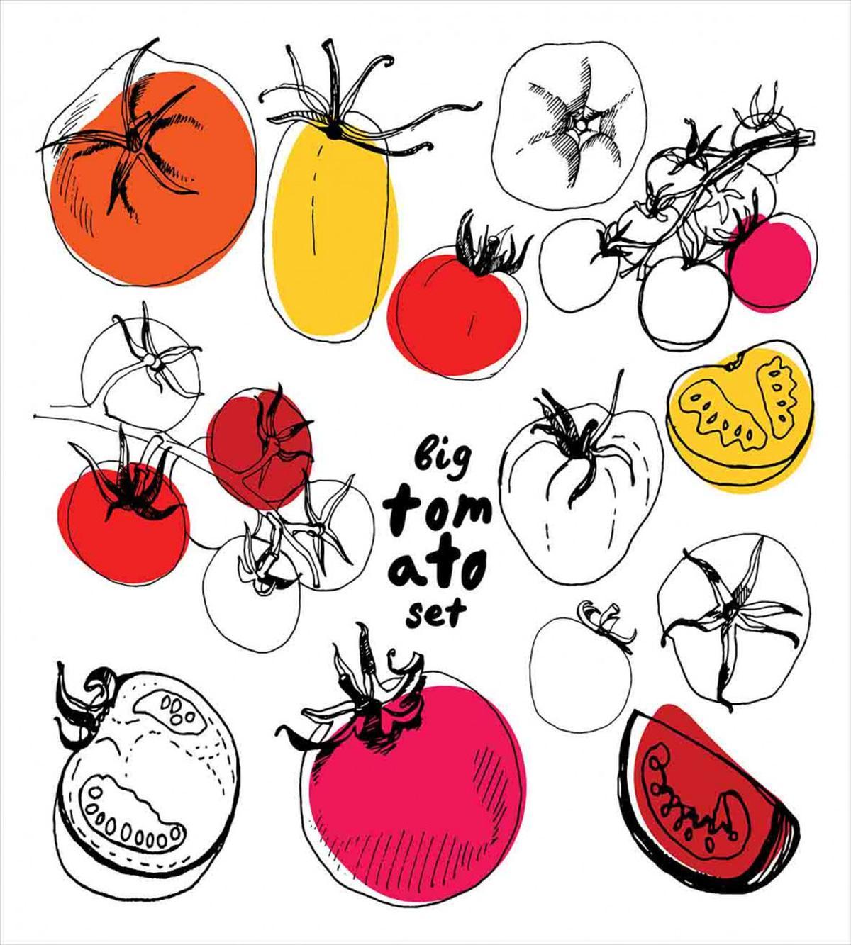 Vivid Sketched Tomatoes — Pattern