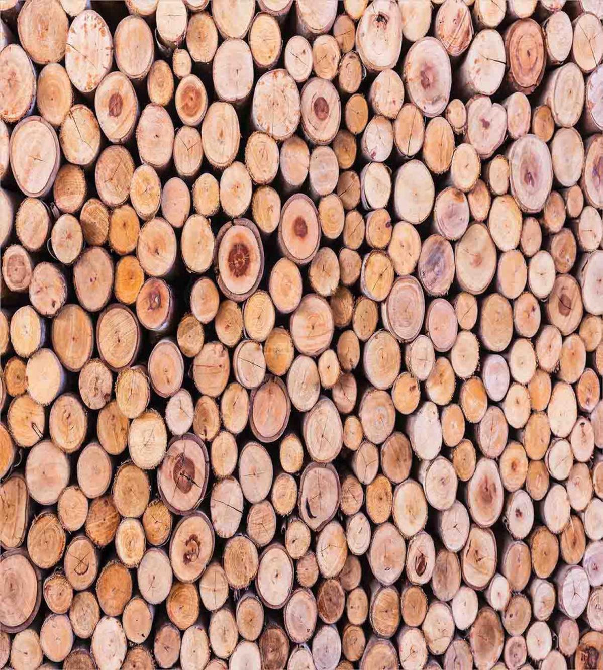 Wooden Lumber Tree Logs — Pattern