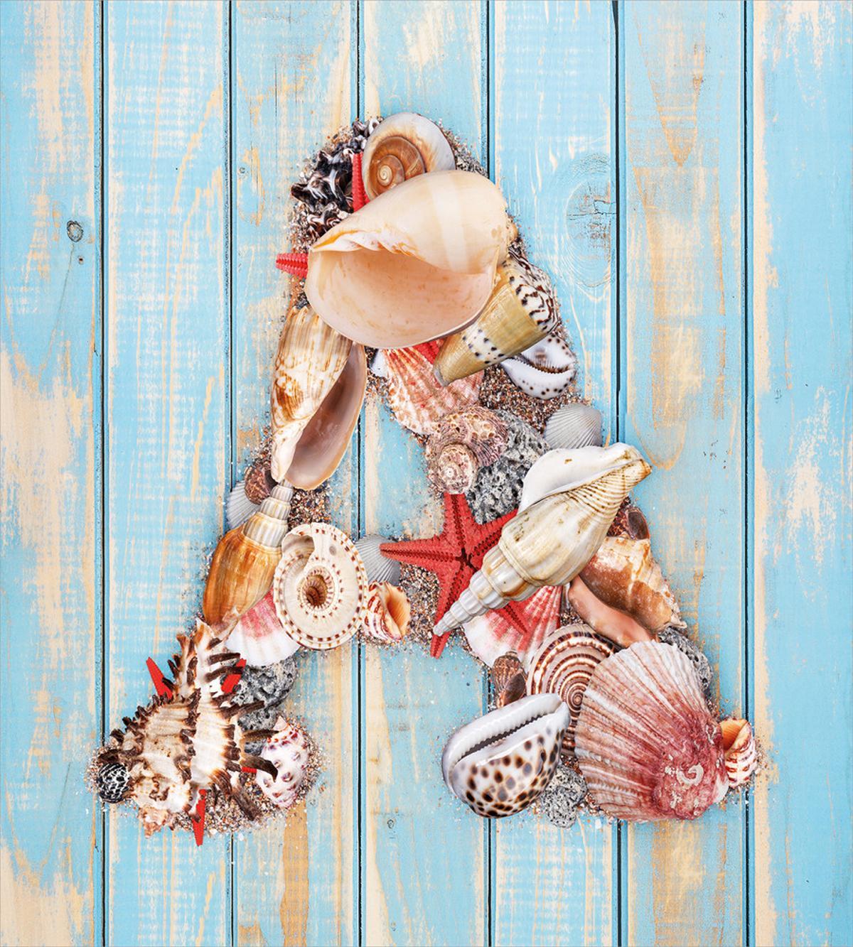 Seashell Wood Backdrop — Pattern