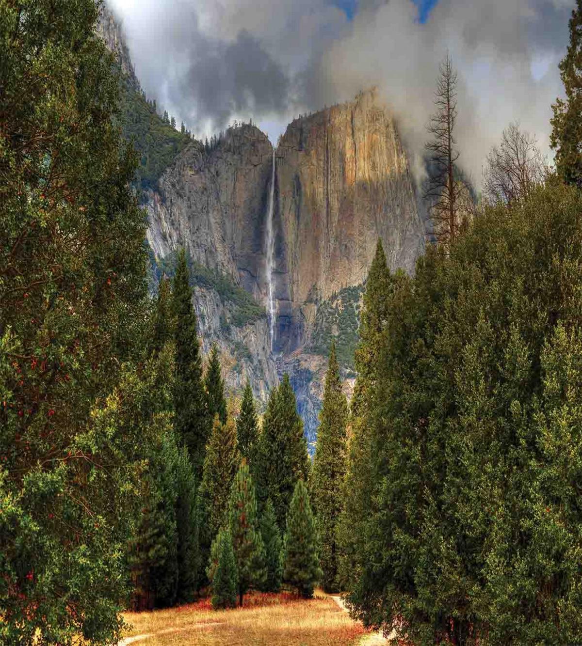 Yosemite Park Autumn — Pattern