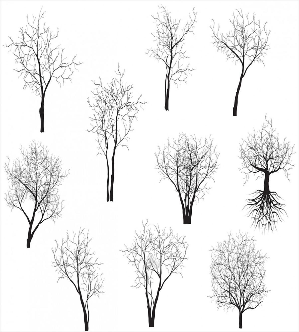 Forest Trees Branches — Pattern