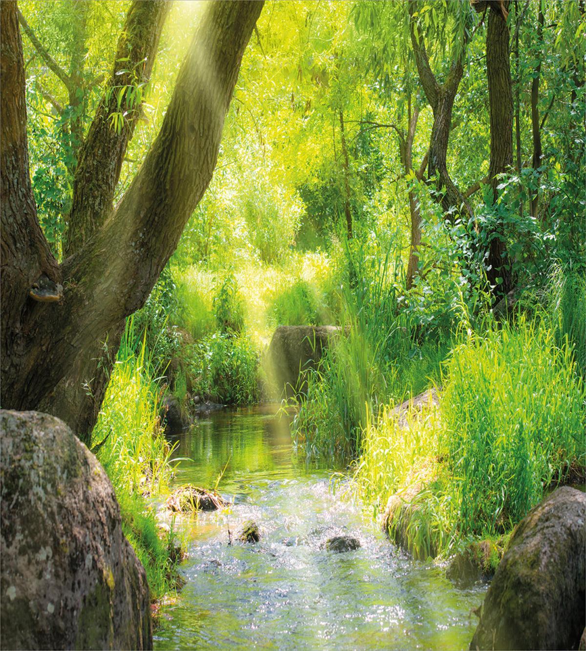 Stream Cascade Tropical — Pattern