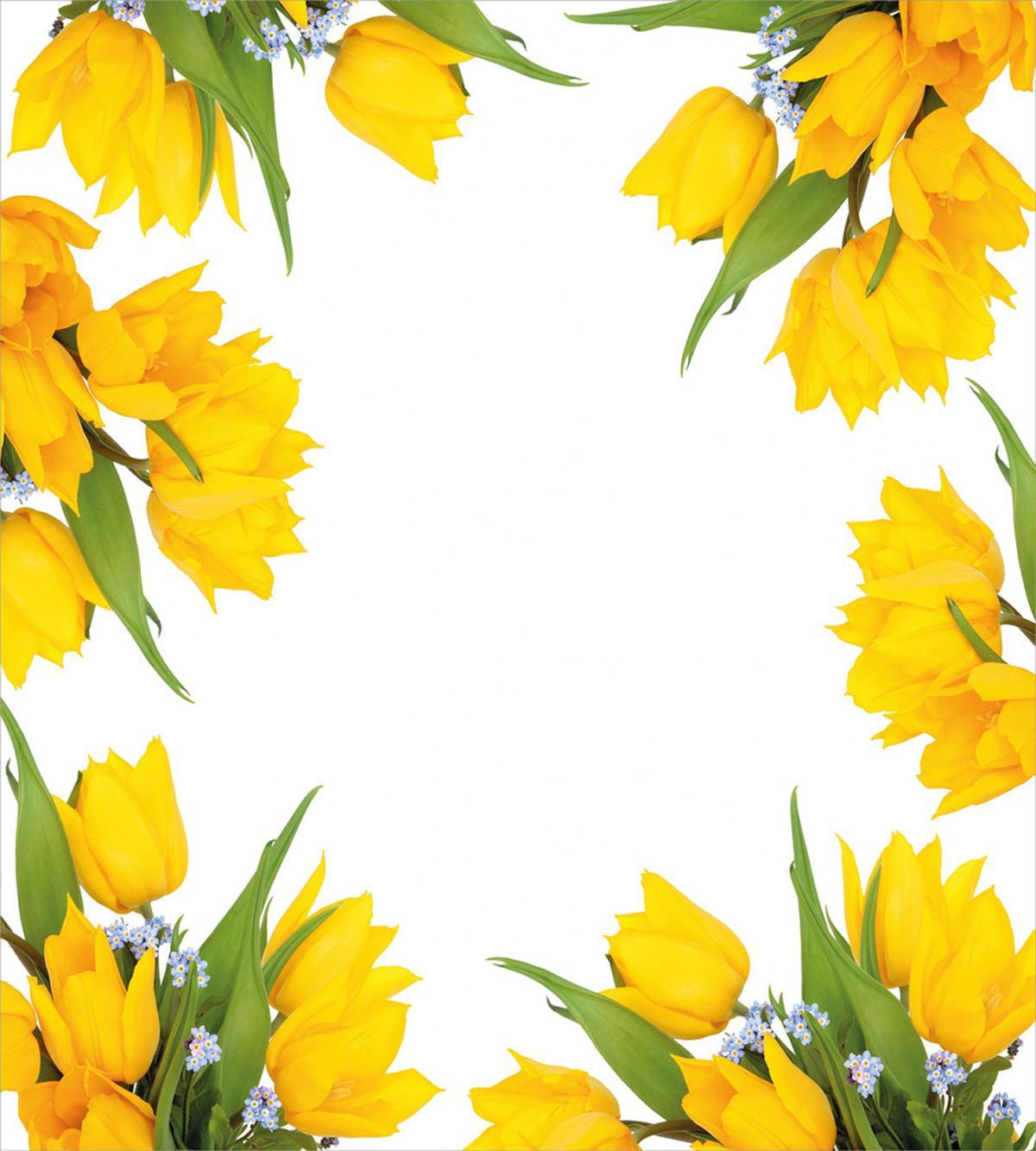 Yellow Tulips — Pattern