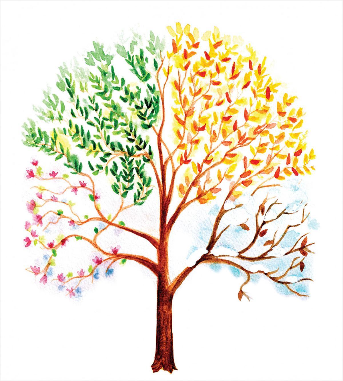 Tree Seasons Nature — Pattern