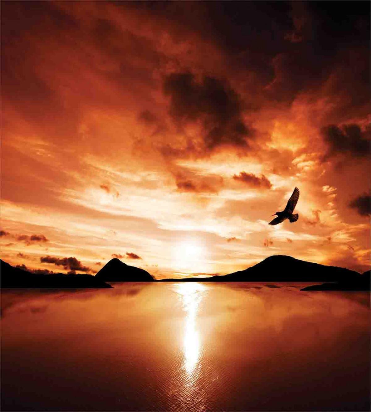 Sunset SeMountain Wings — Pattern