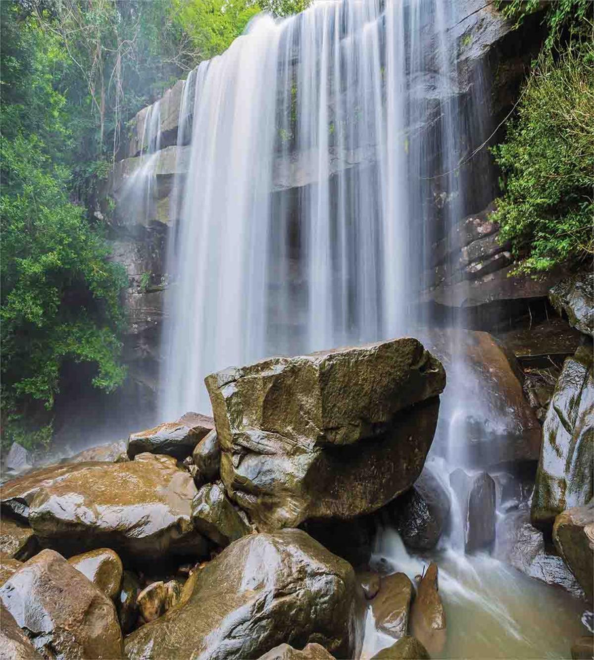 Tropical Waterfalls — Pattern