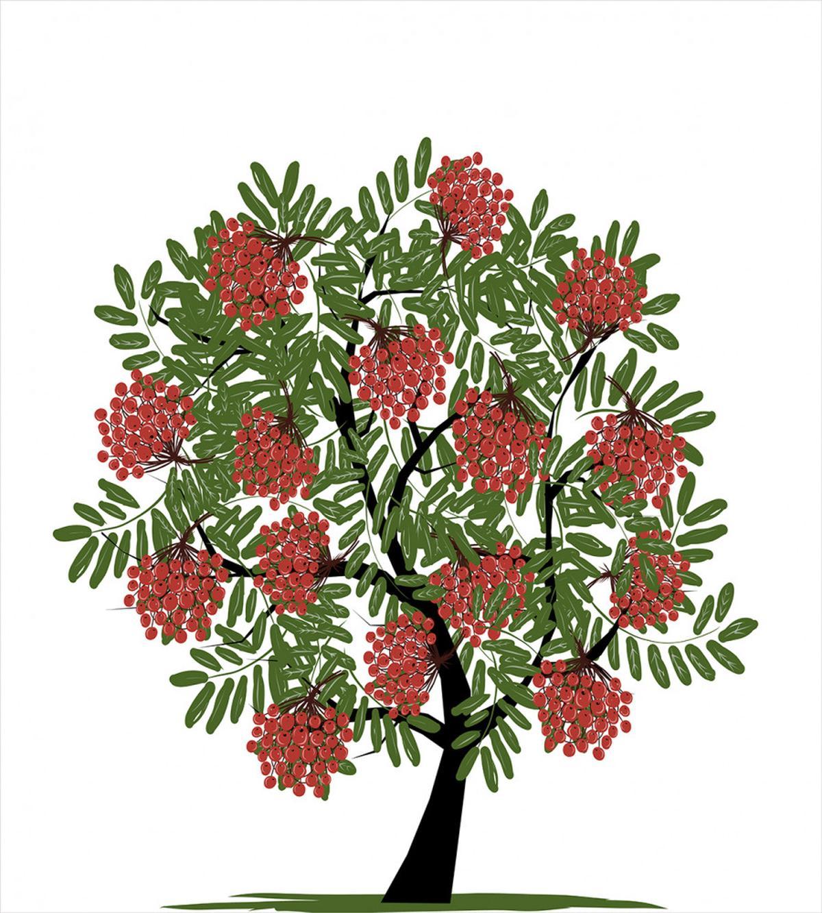 Tree Full of Fruits Art — Pattern