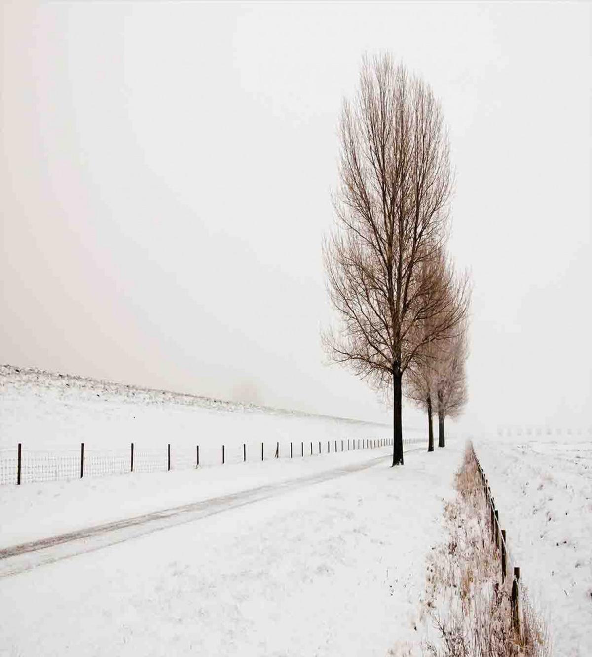 Snow Winter Frozen — Pattern