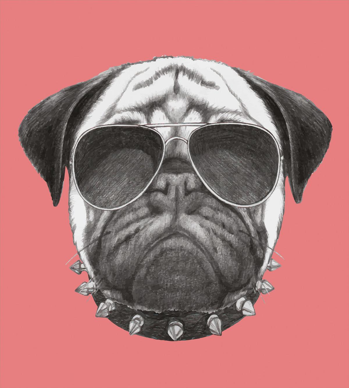 Pug Dog Sunglasses Colar — Pattern