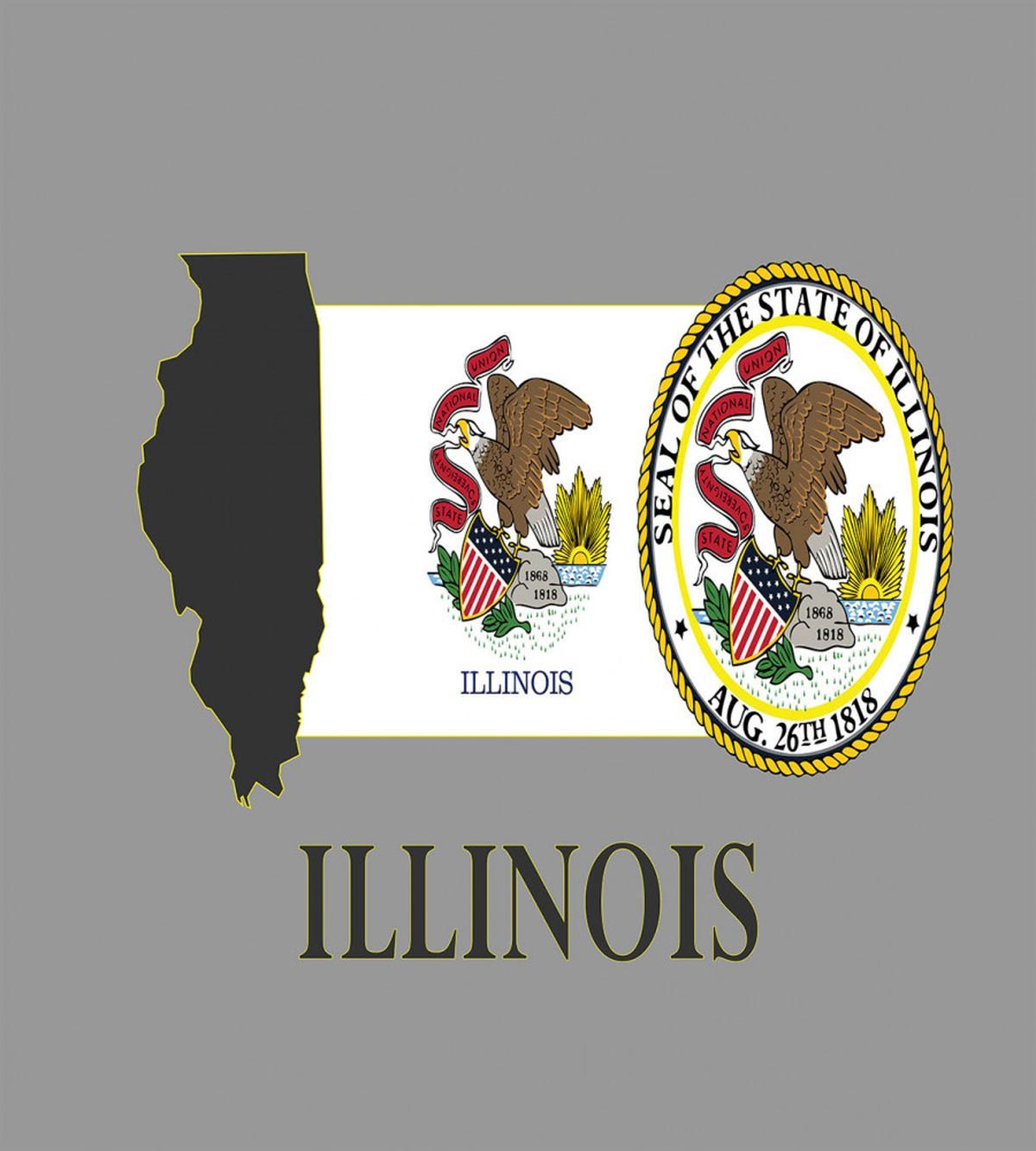 State Map and Flag Eagle — Pattern