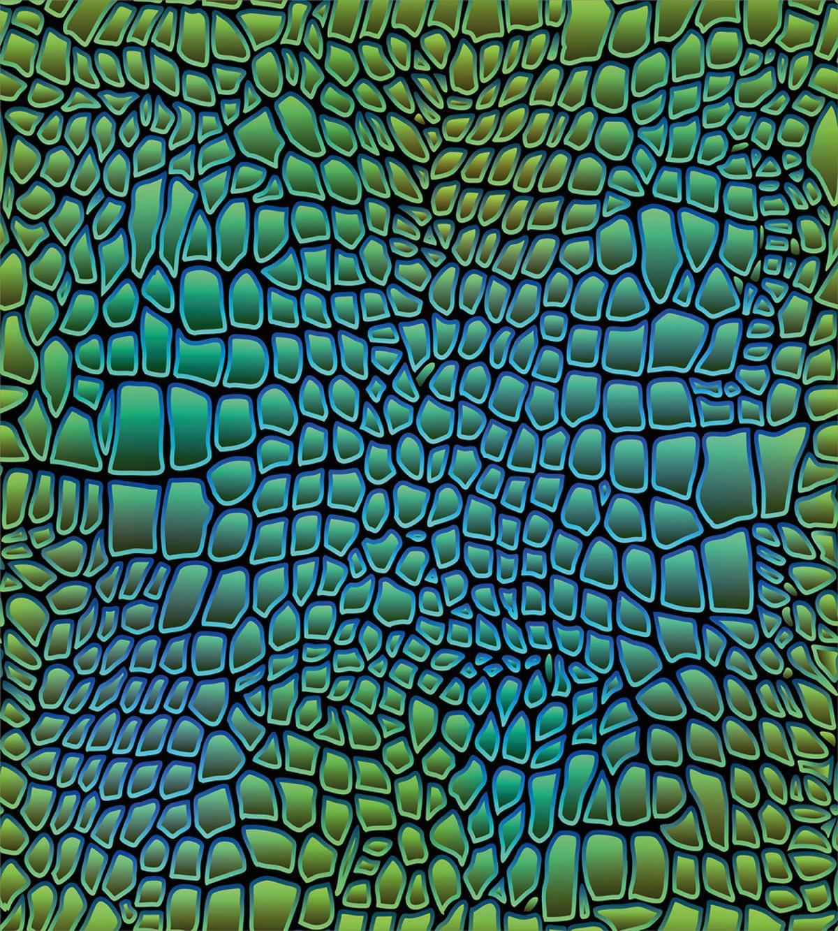 Alligator Skin — Pattern