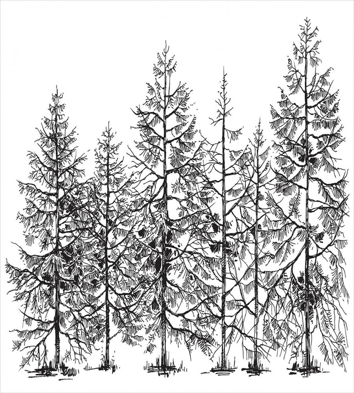 Seasonal Pine Tree Landscape — Pattern