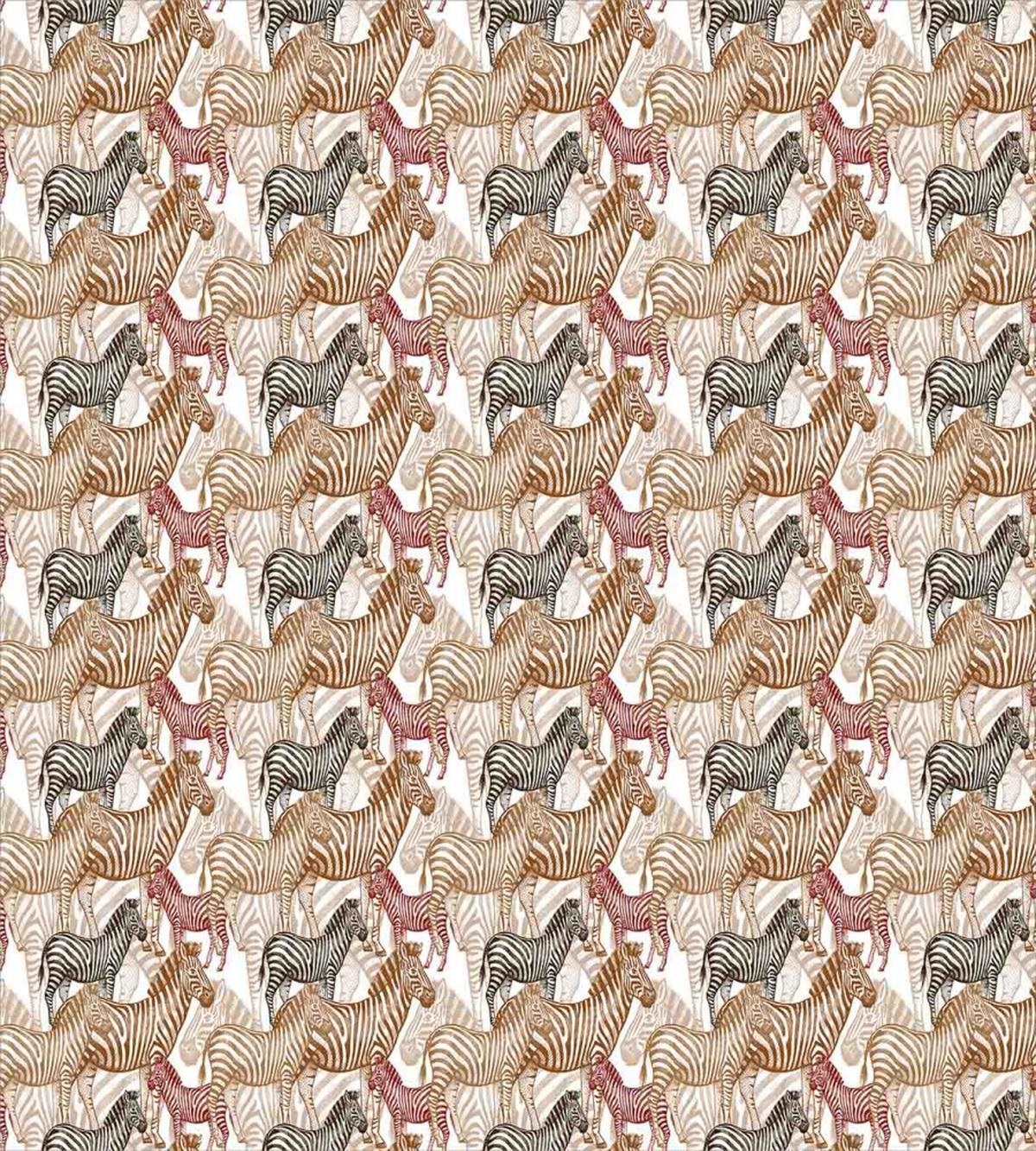 Camo — Pattern