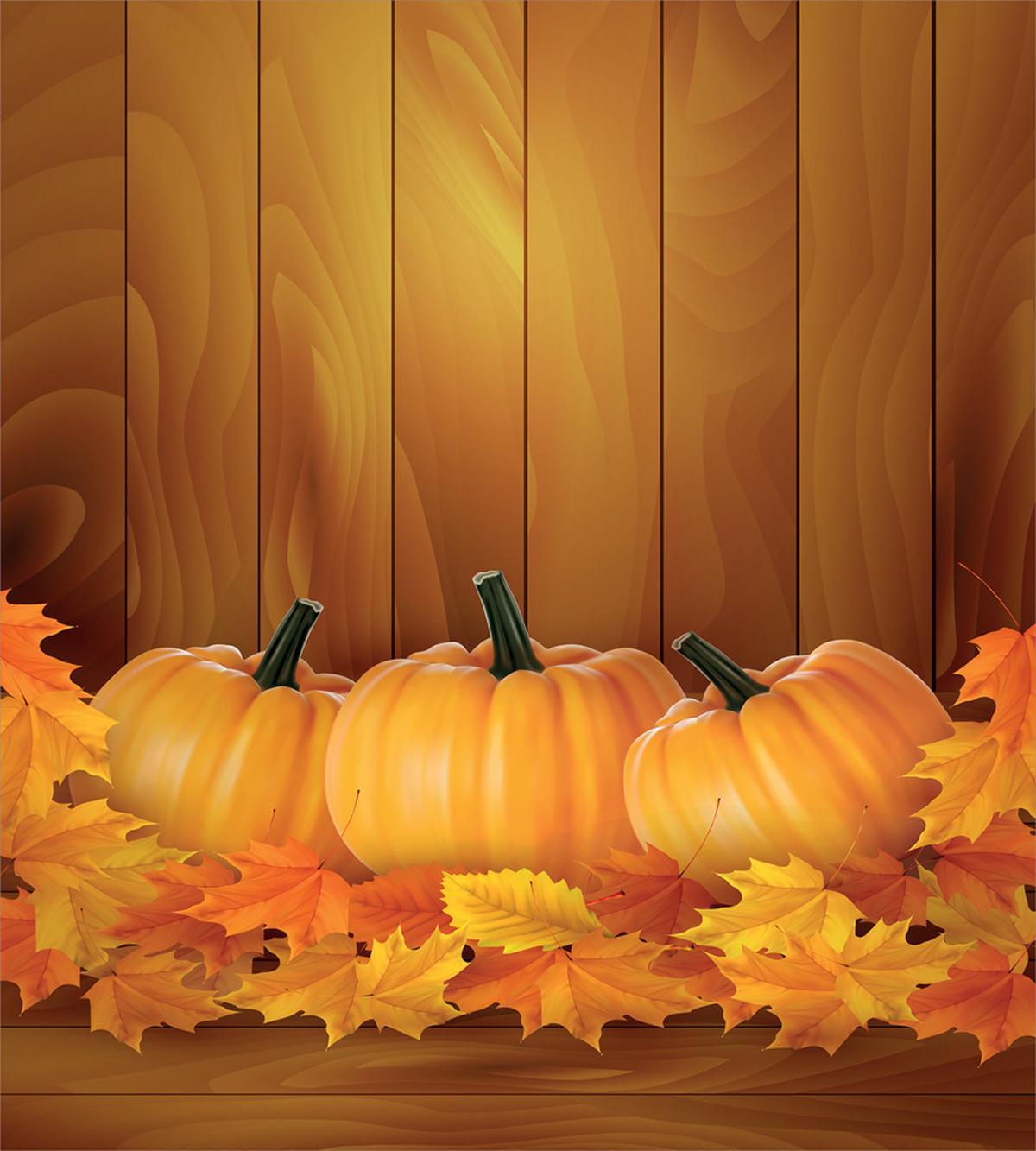 Squash Pumpkins Wood — Pattern