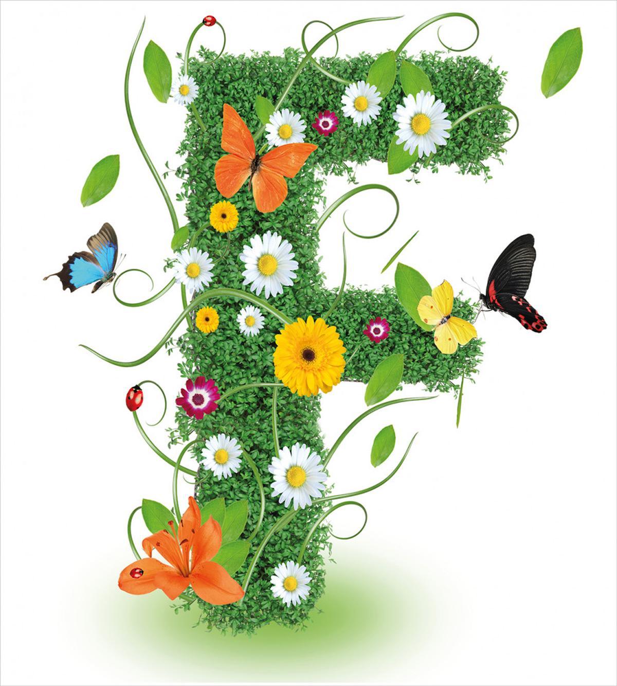 Animals and Flowers F — Pattern