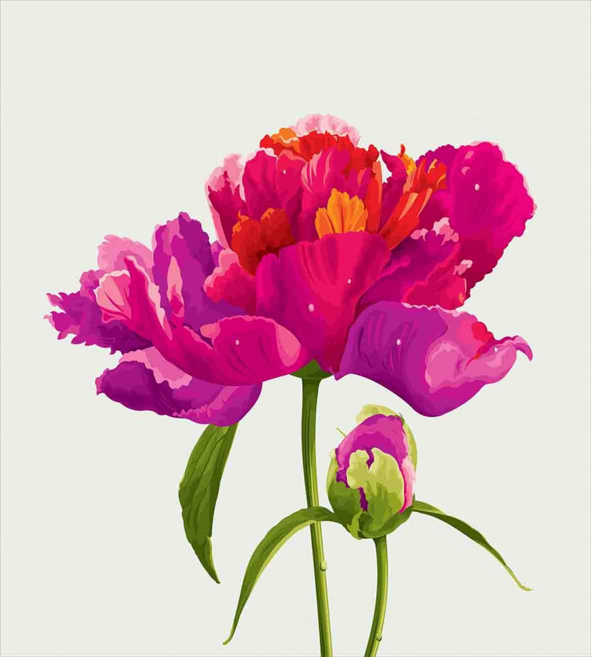 Flower and Vibrant Petals — Pattern