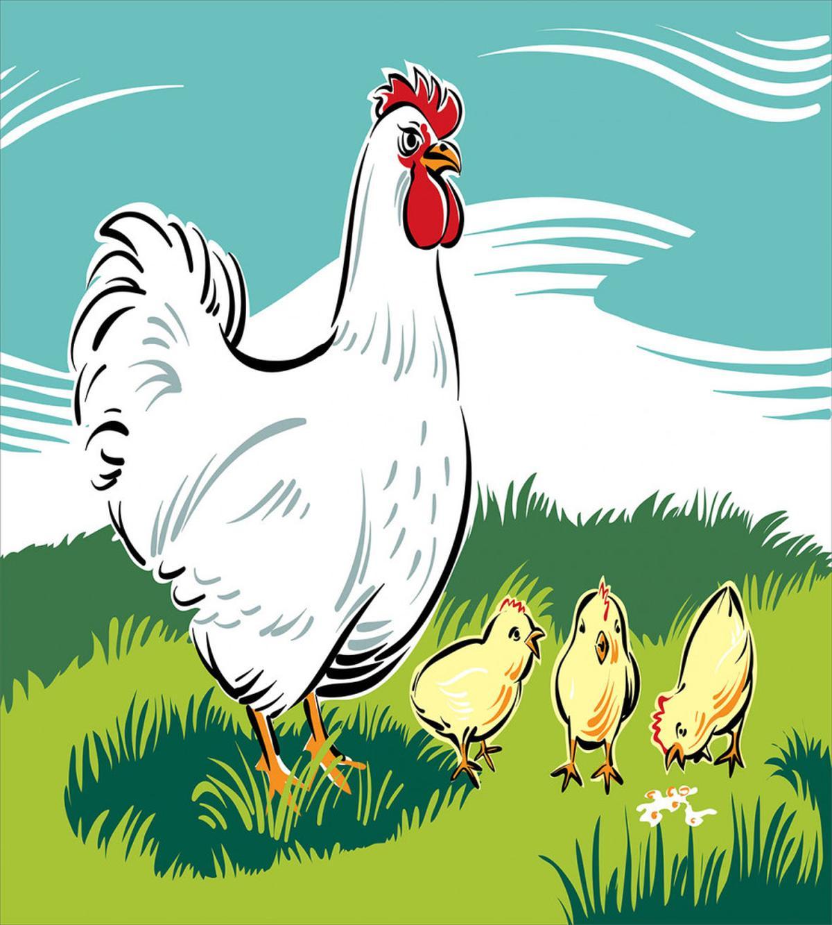 Animal Cartoon — Pattern