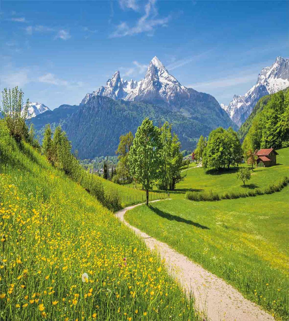 Wild Flowers in Alps — Pattern