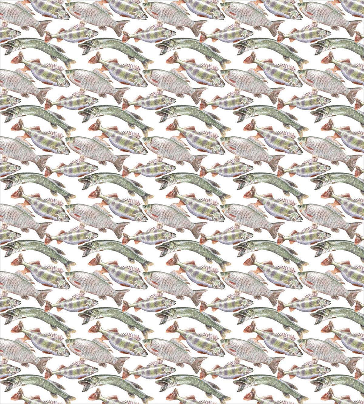 Carp Perch and Bass — Pattern