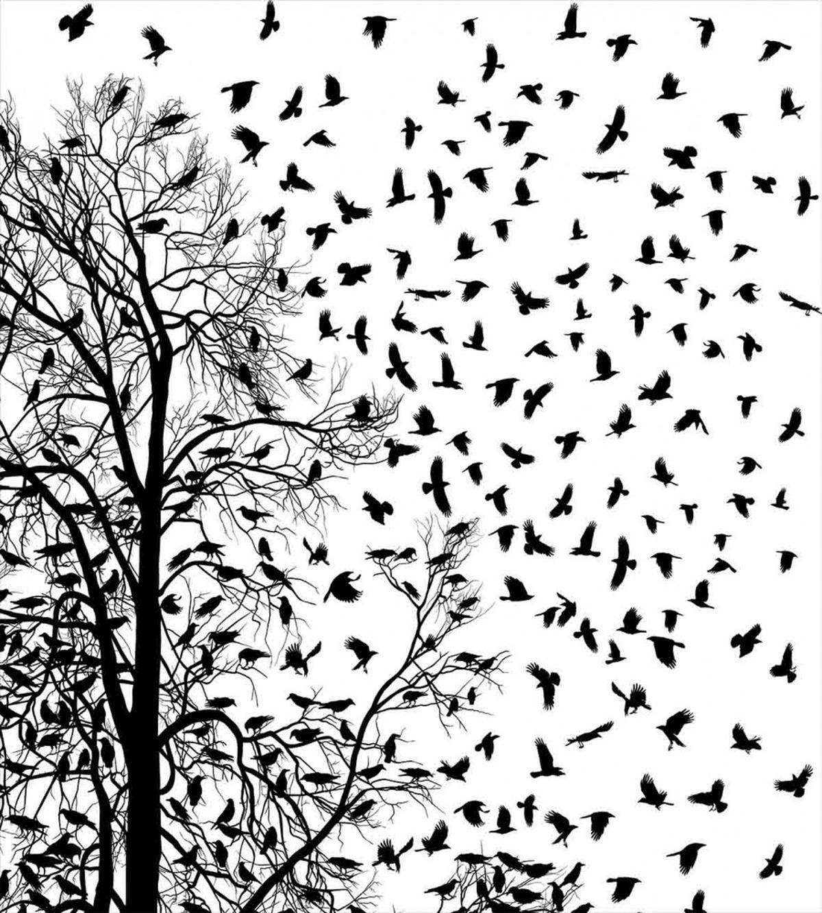 Flying Birds Tree — Pattern