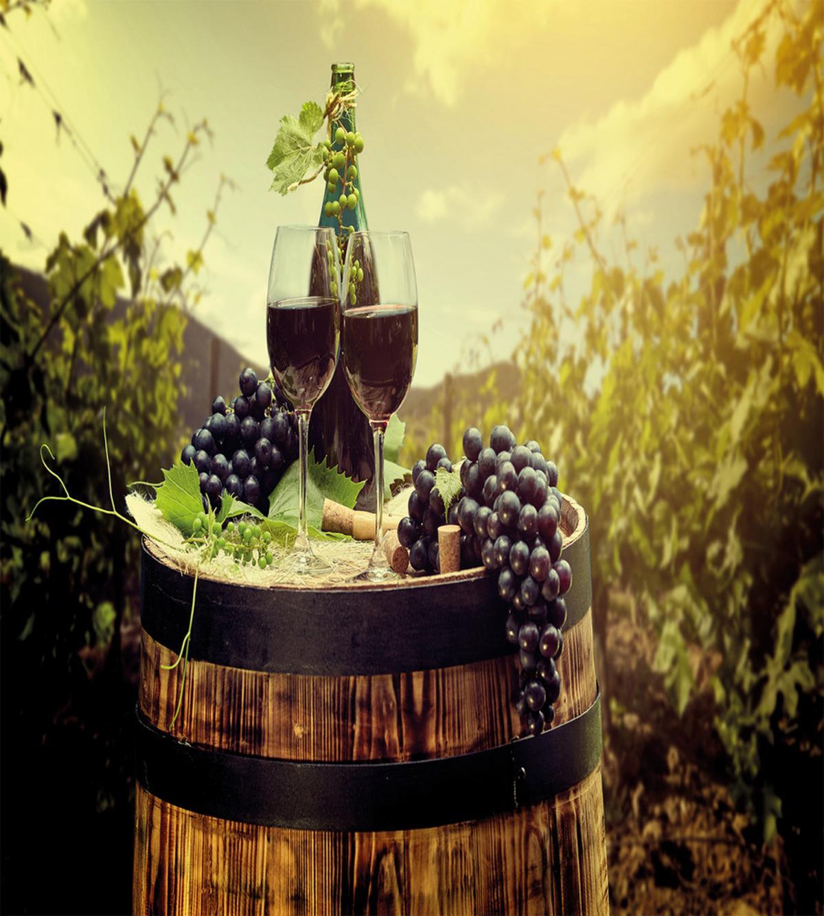 Scenic Tuscany Vineyard — Pattern