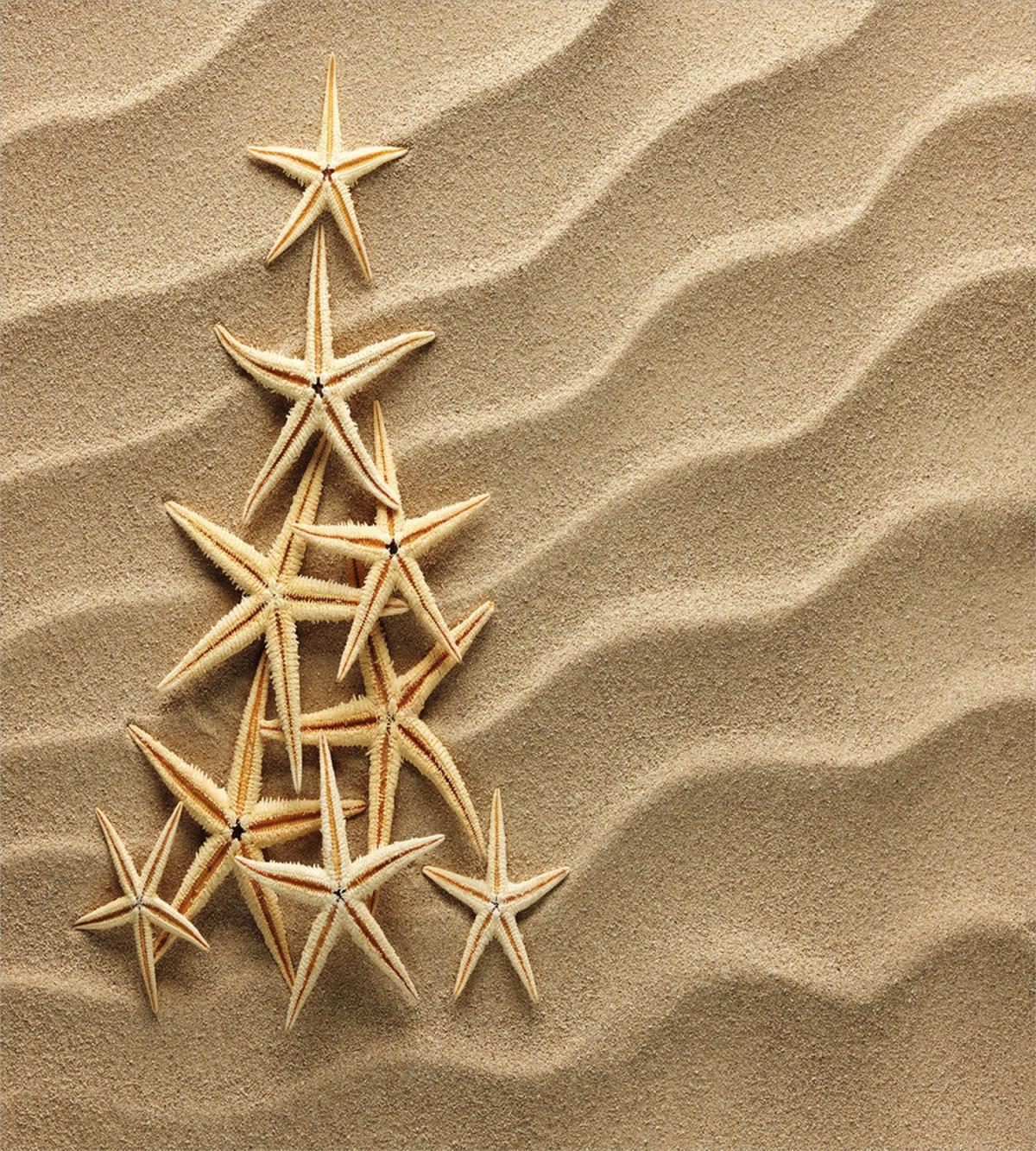 Tree from Shells — Pattern