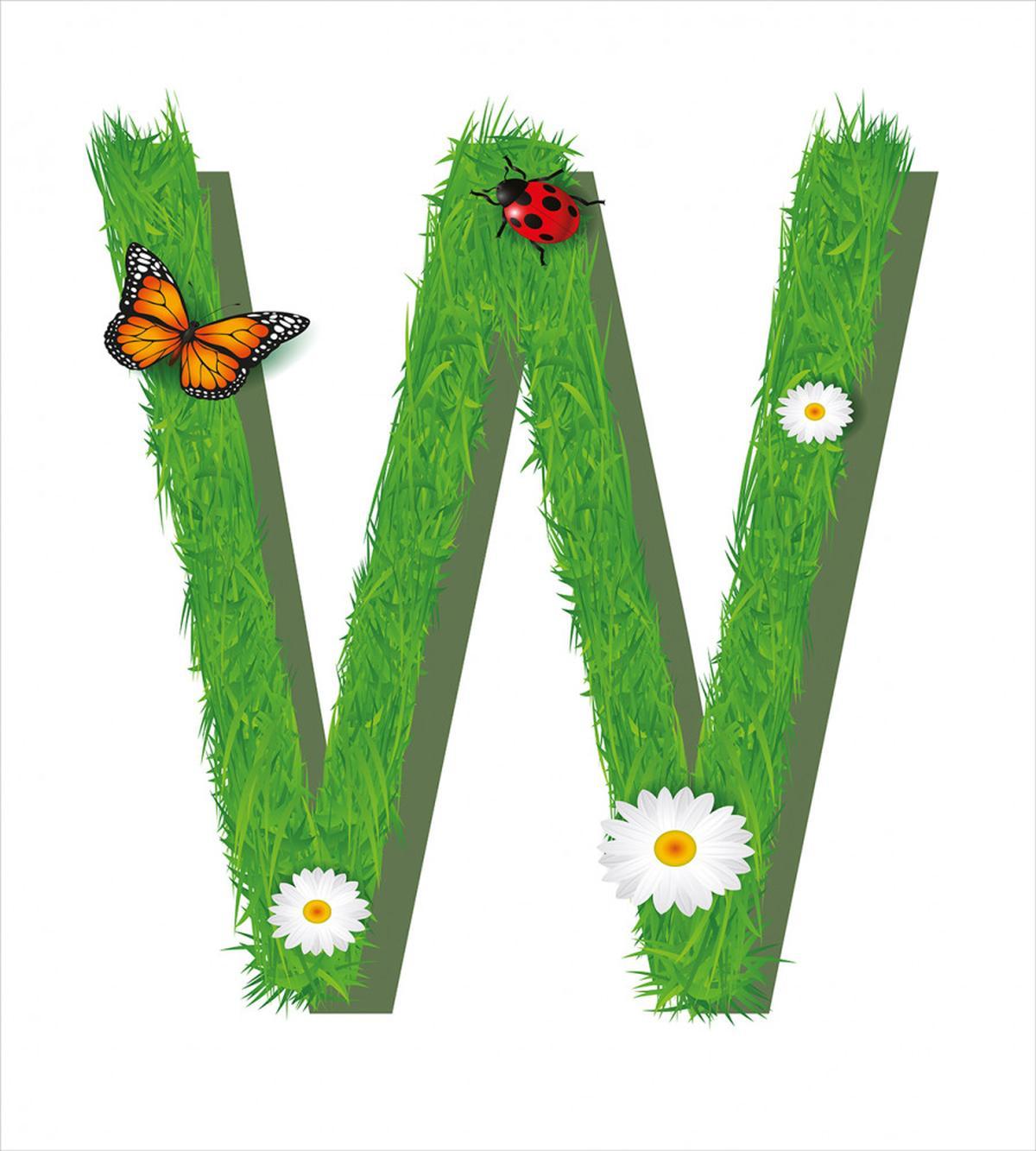 Nature Theme Butterfly — Pattern