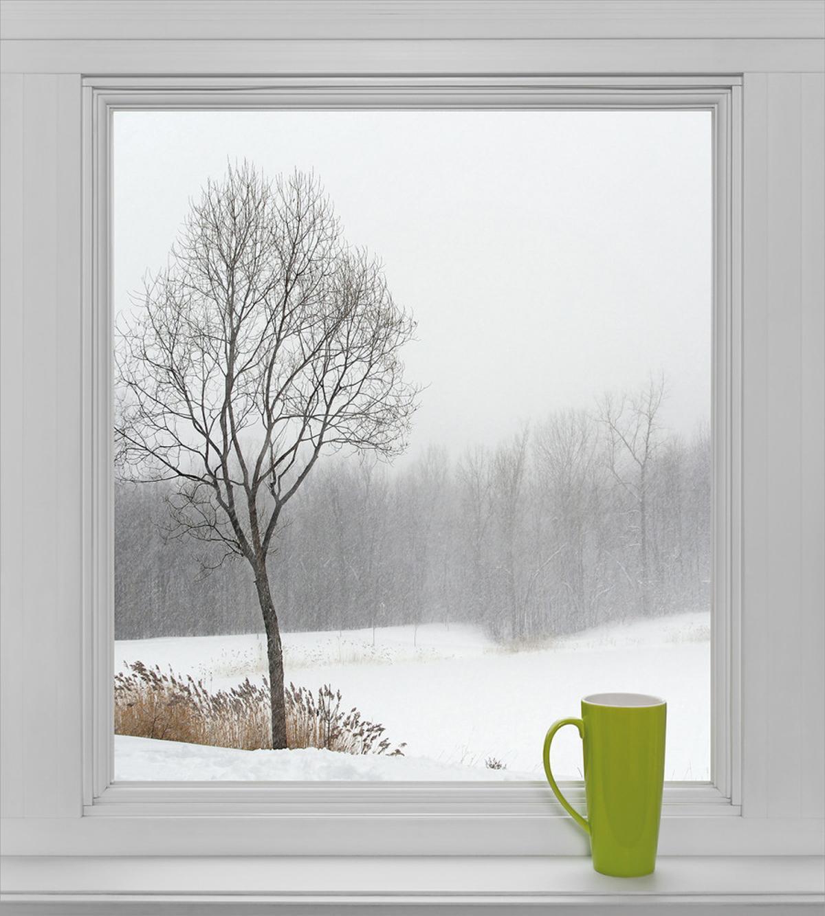 Green Teacup and Window — Pattern