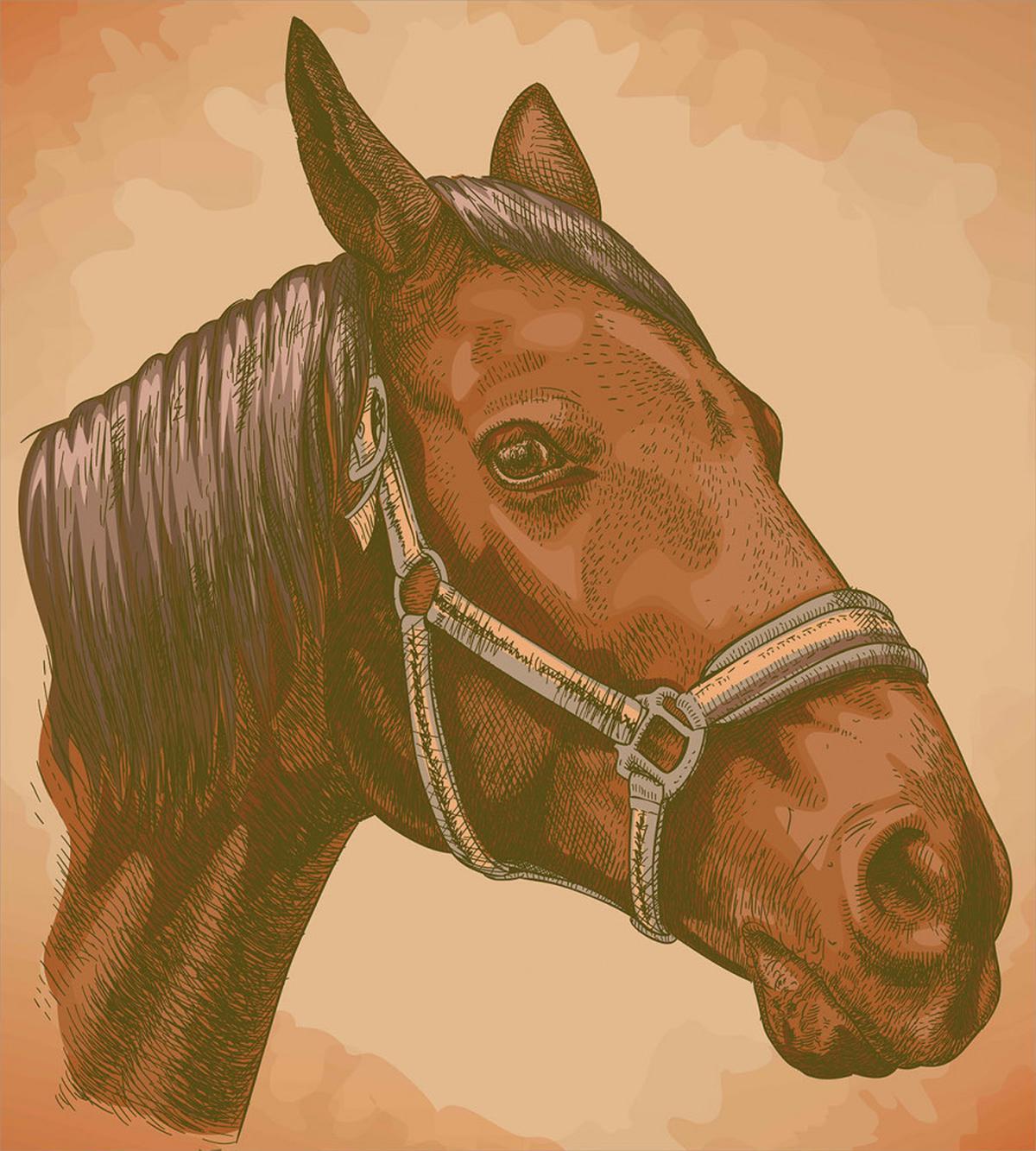 Engraving Horse Head — Pattern