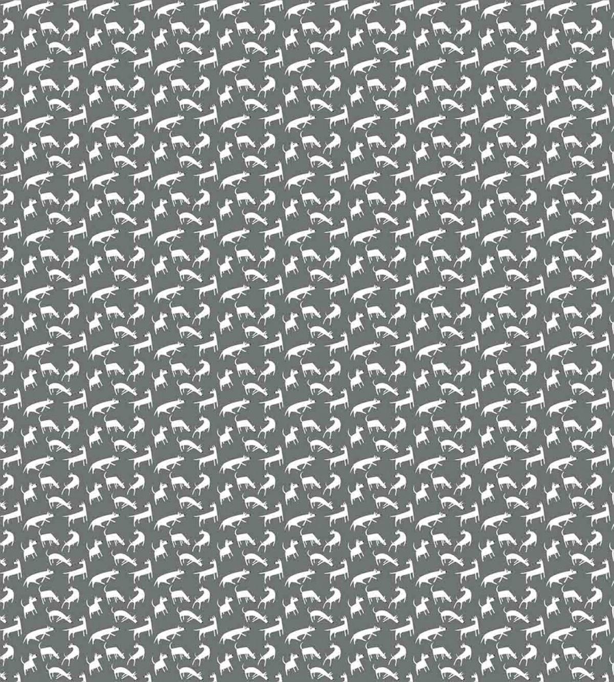 Funky English Bull Terriers — Pattern