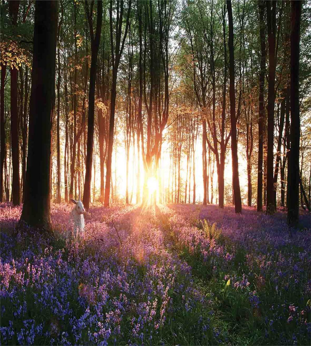 Sunrise Woods in Spring — Pattern