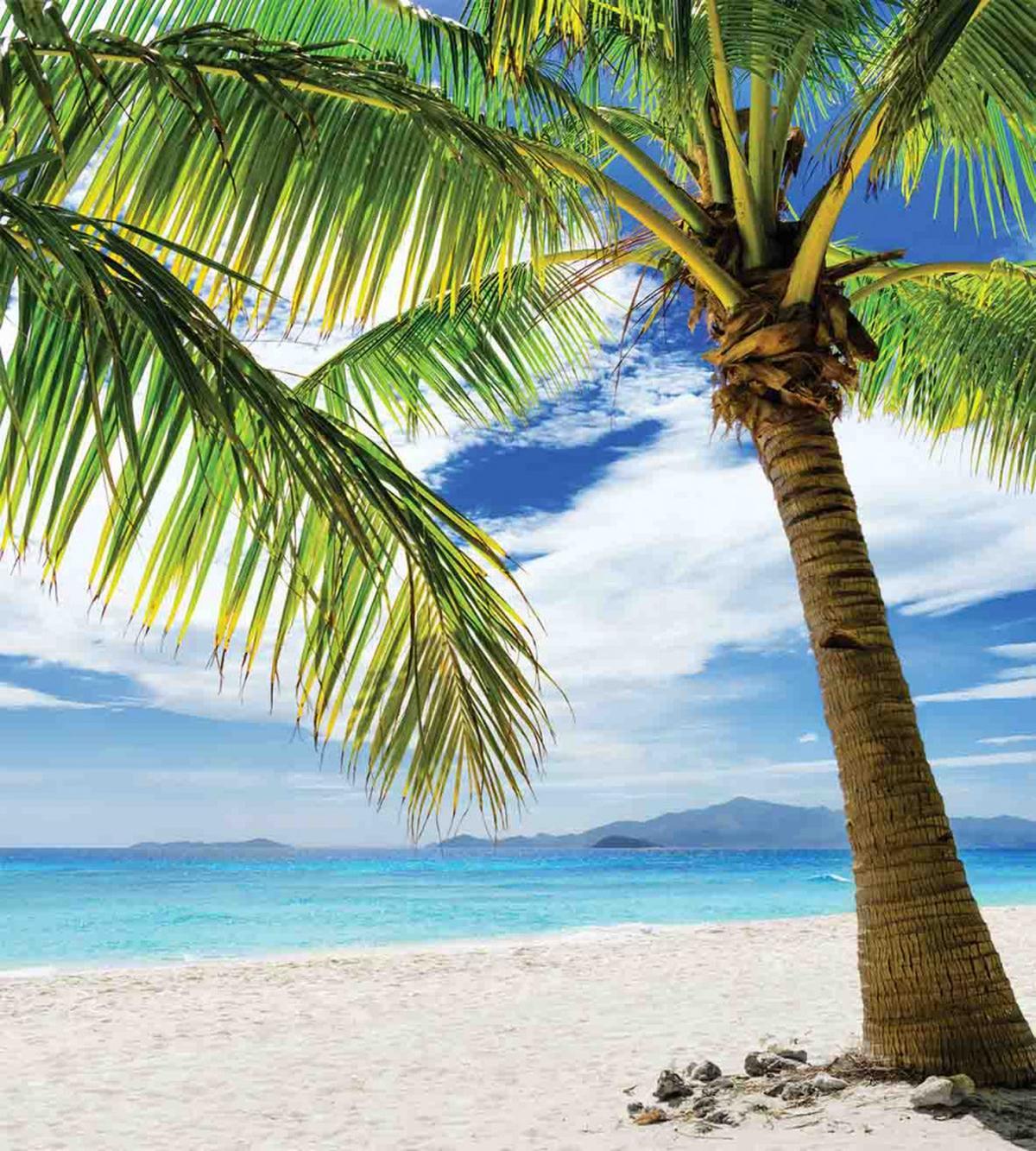 Sandy Beach Sunny — Pattern