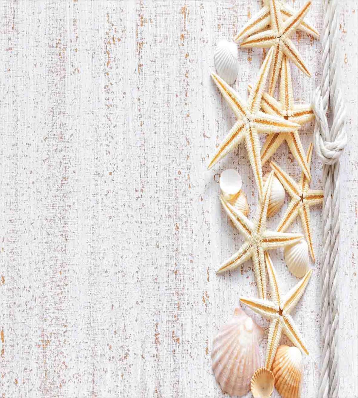 Seashells and Starfish — Pattern