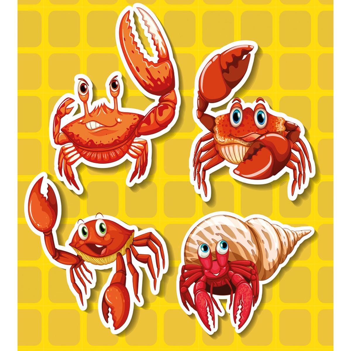 4 Different Crabs — Pattern