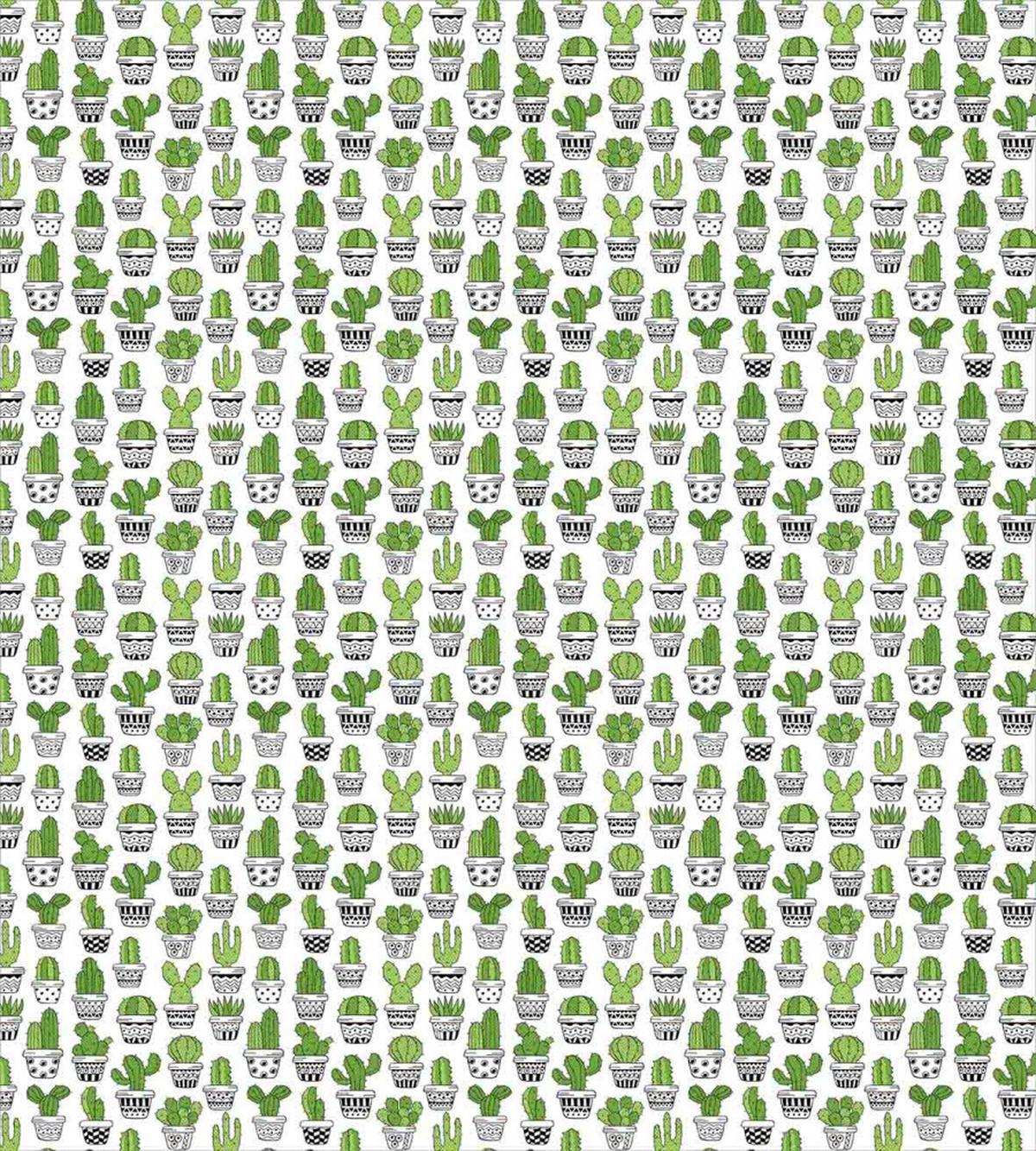 Succulent Houseplants — Pattern