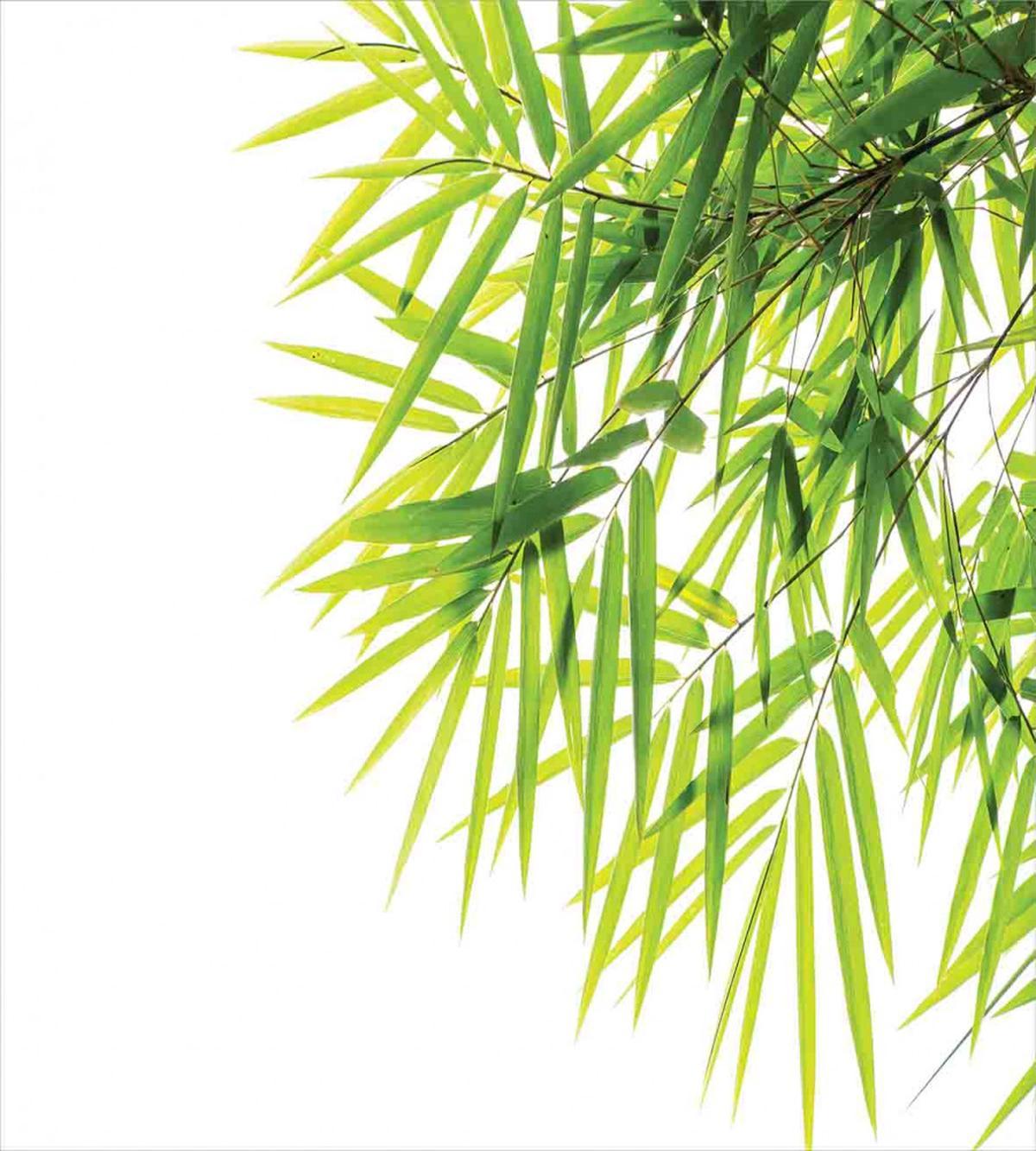 Bamboo Leaf Peace — Pattern