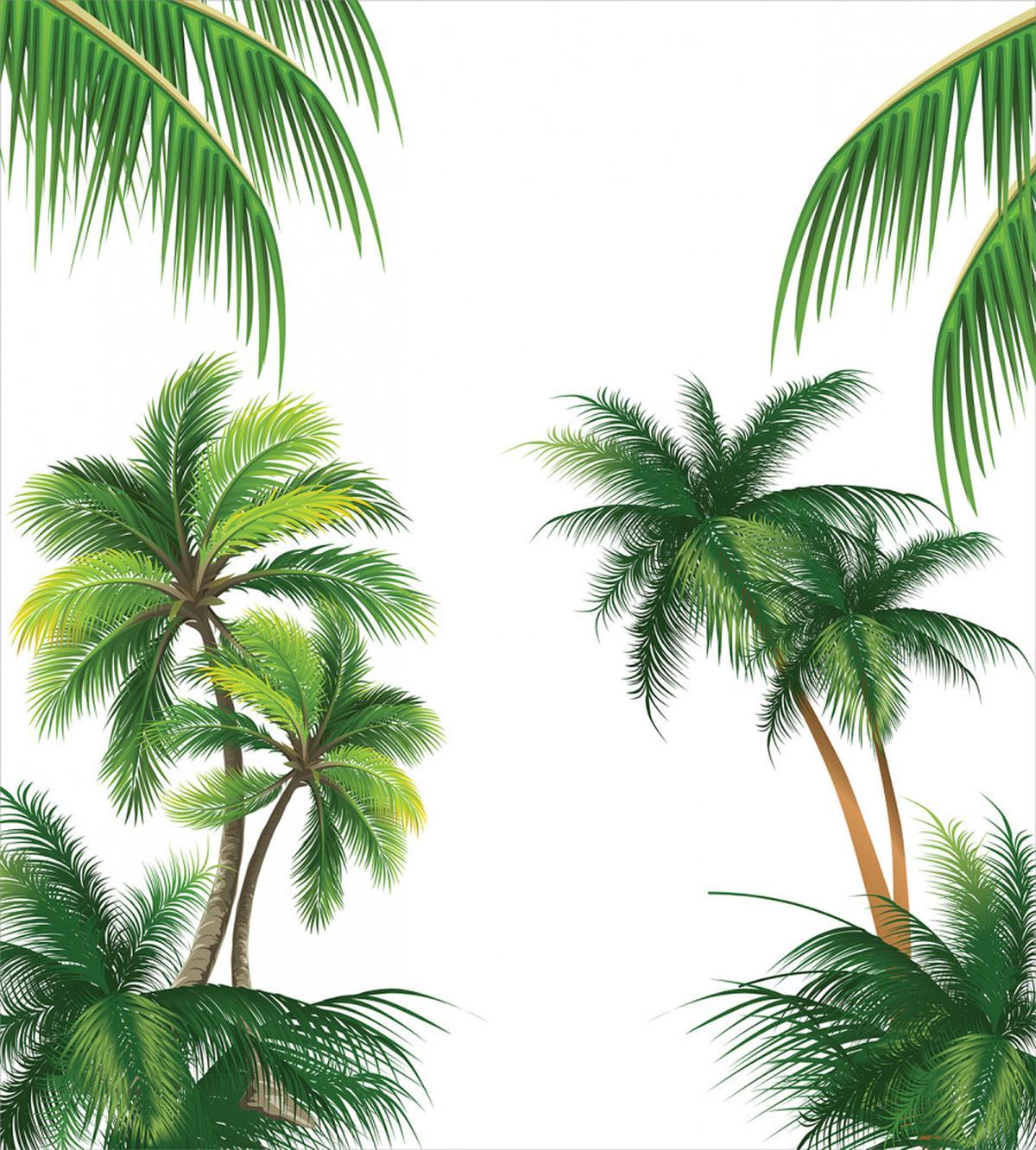 Coconut Palm Tree Plants — Pattern