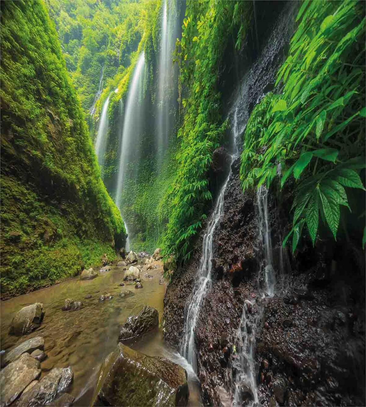Waterfall Forest — Pattern