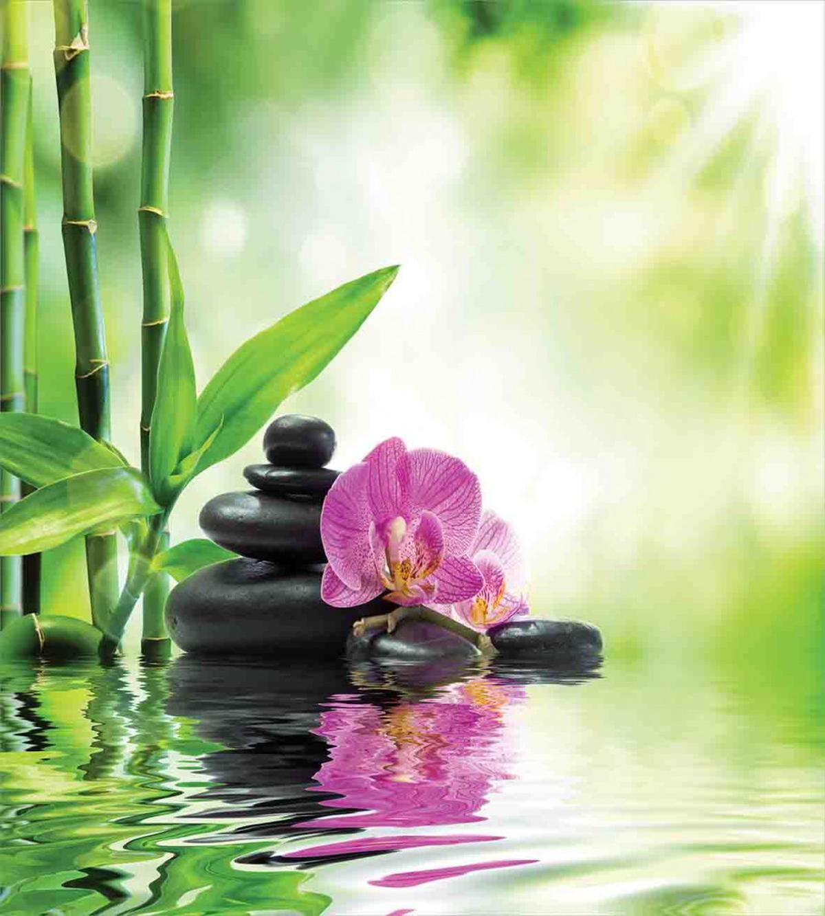 Orchids Rocks Water — Pattern