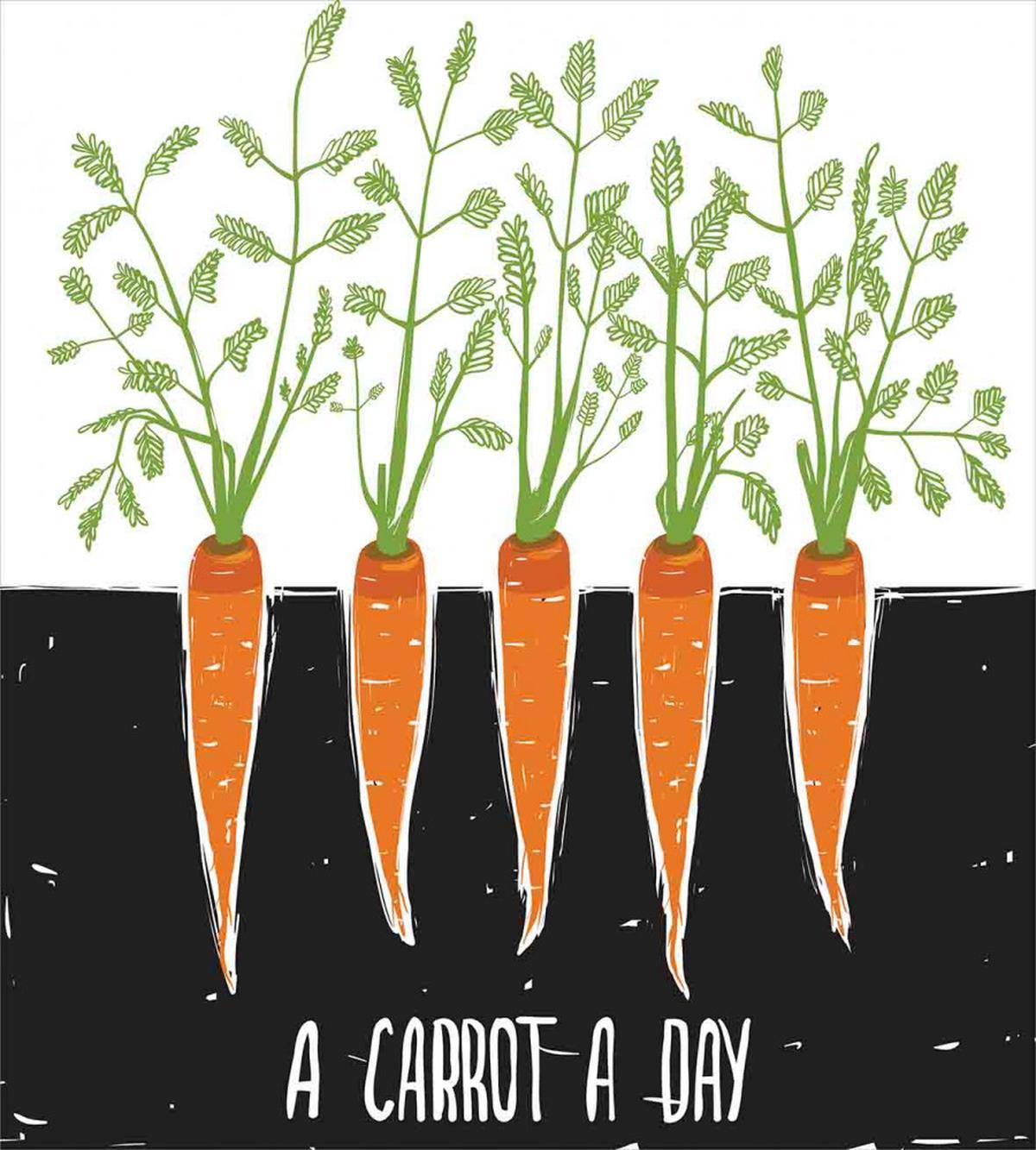 Growing Carrots — Pattern