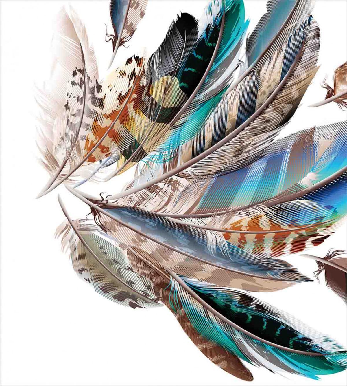 Contour Feather Fashion — Pattern