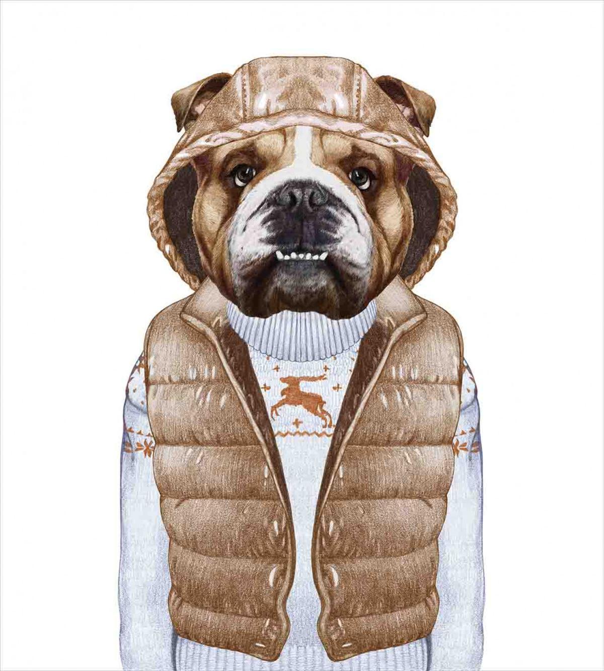 Puppy in a down Vest — Pattern